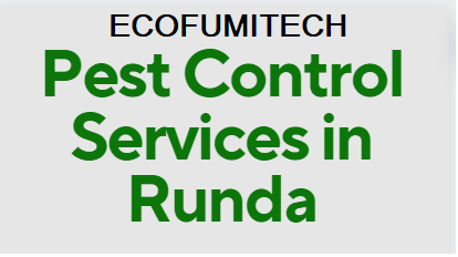 fumigation service cost in Runda, fumigation cost in Runda, fumigation prices in Runda, fumigation price in nairobi, pest control charges in Runda, pest control cost in Runda, bees control services in Runda, bed bugs control services in Runda, termite control services in Runda, cockroach control services in Runda, pest control cost in Runda fumigation charge in mombasa, bees removal service near me Runda, bees removal service in Runda, bees removal service chemical, bees removal chemical, termite control pesticide Runda, termite control insecticide, best chemical for bed bugs in Runda, best insecticide for bed bugs in Runda, pest control services near me, bed bugs control services near me. pest control services in meru,fumigation services in Runda,pest control Runda, bed bugs in Runda, bed bugs in Runda town, fumigation of bed bugs in Runda, eliminating bed bugs in Runda, pest control in Runda town, we are the solution for fumigation services in Runda, we cover bed bugs, and snakes, Pest control companies in Runda, Best pest control services in Runda, Pest removal services in Runda, Professional pest control in Runda, Affordable pest control services in Runda, Residential pest control in Runda, Commercial pest control in Runda, Emergency pest control in Runda, Rodent control in Runda, Termite control in Runda, Bed bug treatment in Runda, Cockroach control in Runda, Flea and tick treatment in Runda, Mosquito control services in Runda, Integrated pest management in Runda, Eco-friendly pest control in Runda, Local pest control services Runda, Pest inspection services in Runda, Pest extermination in Runda, Pest prevention services in Runda, Ecofumitech pest control services in Nairobi Kenya